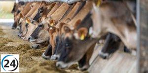 Nuevas medidas de control en explotaciones ganaderas para prevenir la EHE