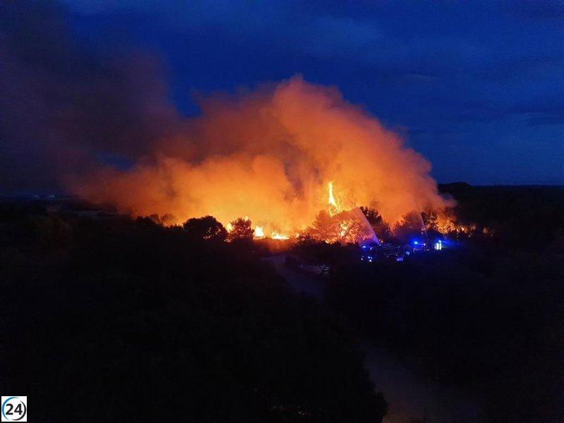 Grand despliegue de bomberos para frenar incendio en El Saler