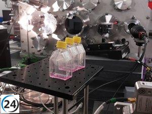 El liderazgo español en investigación para terapia ultrarrápida de radiación contra el cáncer