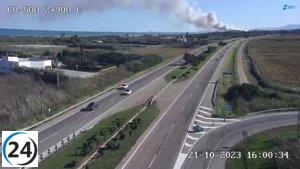 Incendio en El Saler obliga a cortar la CV-500 y evacuar el albergue El Casal d'Esplai