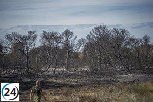 La Guardia Civil investiga posible relación entre detenido por incendios de El Saler y fuego en 2005