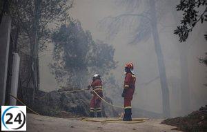 Contenido a pedido no provisto.