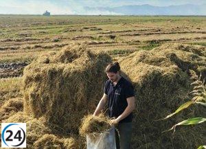 Fondo del Ivace respalda proyecto impulsando la reutilización de residuos vegetales en envases y adhesivos