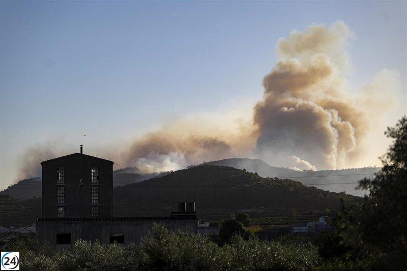 Posible origen del incendio de Montixelvo: el cableado en contacto con árboles cerca de una torre eléctrica.