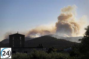 Posible origen del incendio de Montixelvo: el cableado en contacto con árboles cerca de una torre eléctrica.