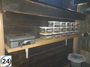 Diez arrestados en l'Alfàs por tráfico masivo de drogas en un club social ilegal