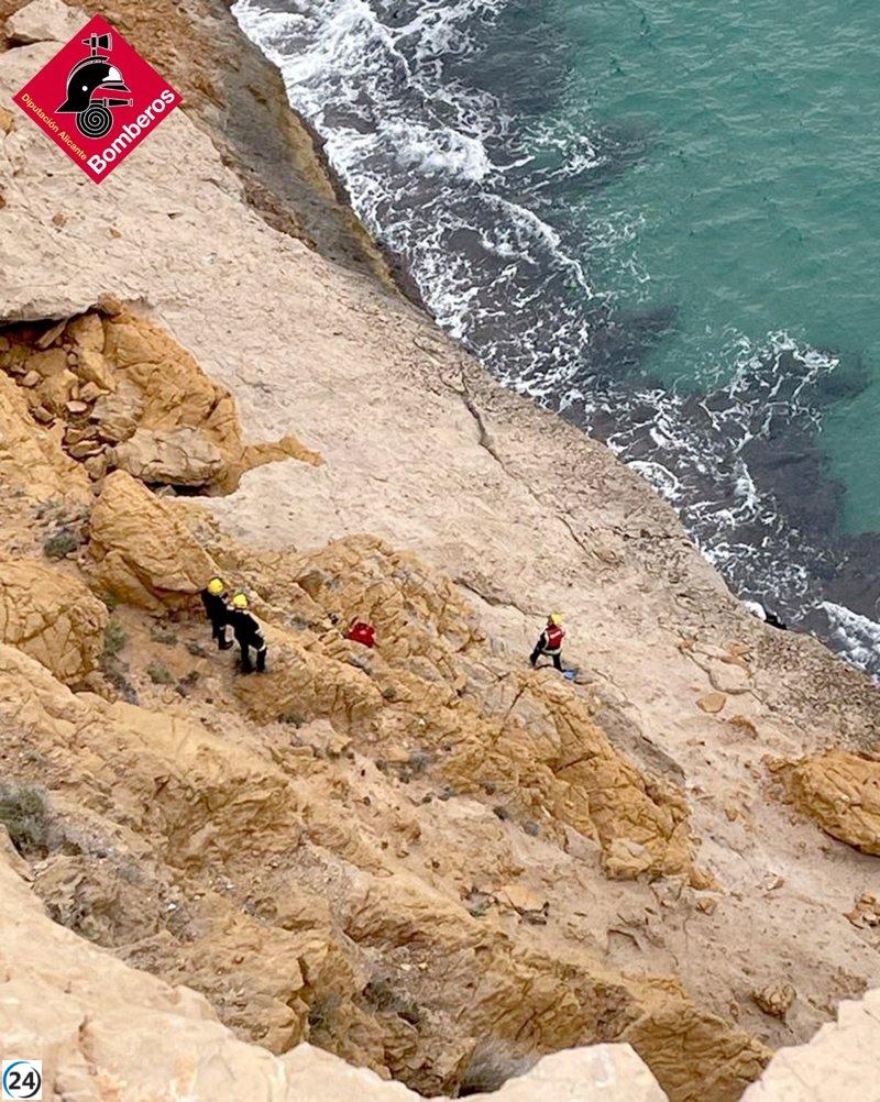 Héroe conservador salva a hombre en peligro en acantilados de Serra Gelada, Benidorm