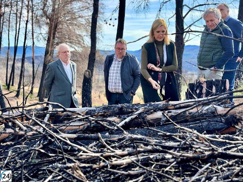 La Generalitat destinará 1,3 millones de euros en 2024 para la recuperación de los terrenos tras el incendio de Bejís