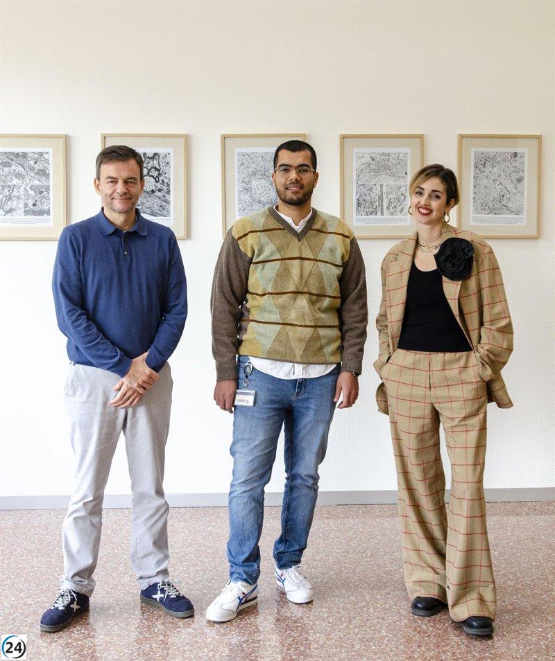 Preservar la sustancia blanca cerebral puede disminuir la reincidencia en el consumo de alcohol, según investigación