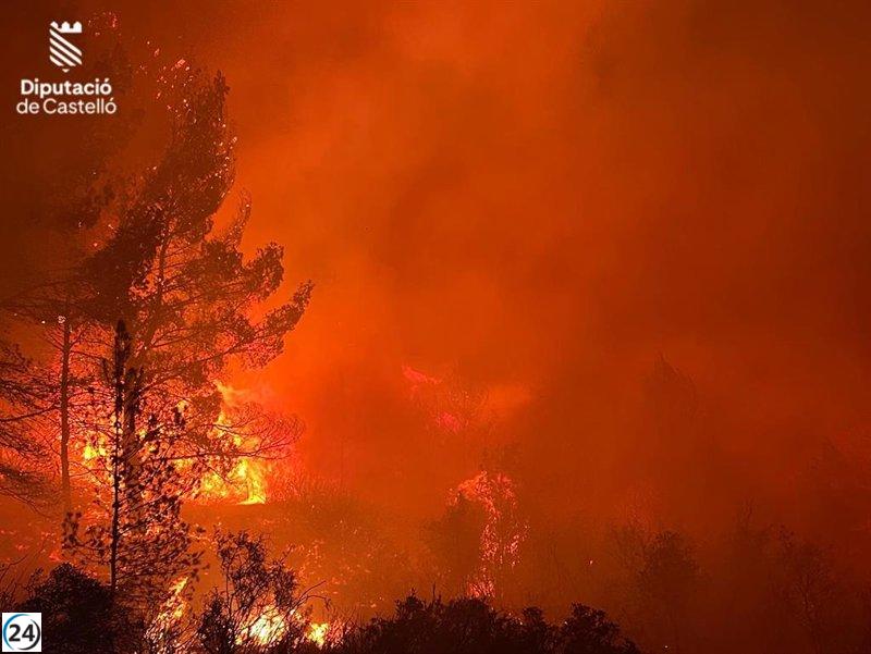 Incendio forestal de Les Useres: Medios de comunicación trabajarán toda la noche, evolución es alentadora